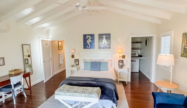 Ocean View Cottage, North Eleuthera, Driftwood Seahorse Cottage #3