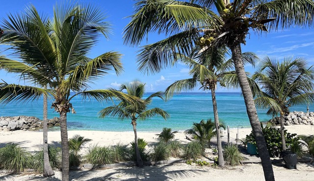 Oceanfront /Private beach (1/1) - steps to the marina.