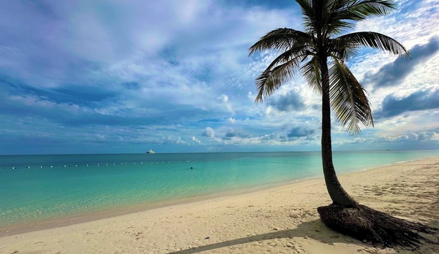 Palm Tree Cove - Stunning Partial Ocean Views; Beachfront Location!