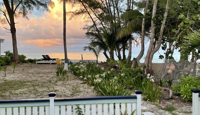 Palmetto cottage on the beach with perfect views.