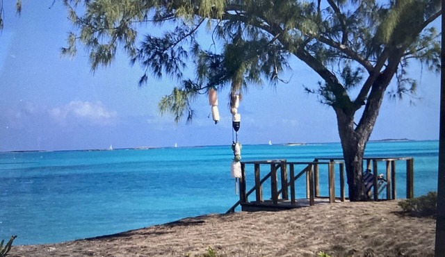 Paradise is just a click away.