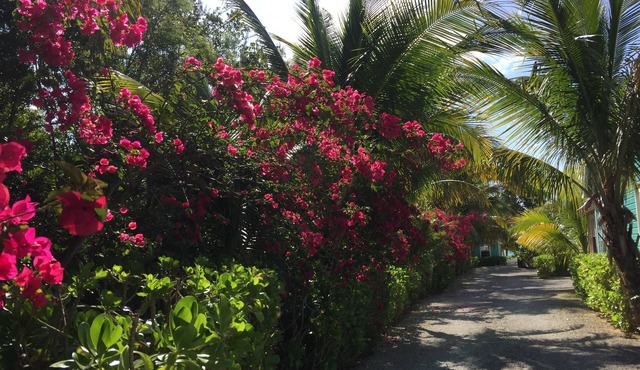 Paradise on miles of white sandy beach and turquoise sea, private and secure.