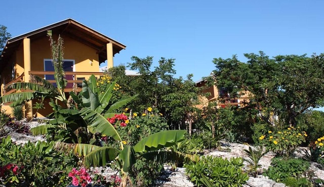 Parrot Bungalow