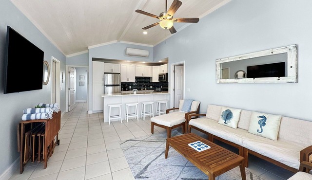 Pet Friendly, Golf Cart Included, Eleuthra Villa, Treasure Cay, Bahamas