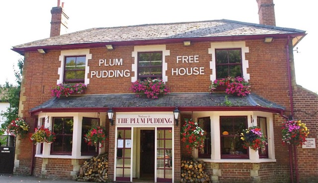 Plum Pudding