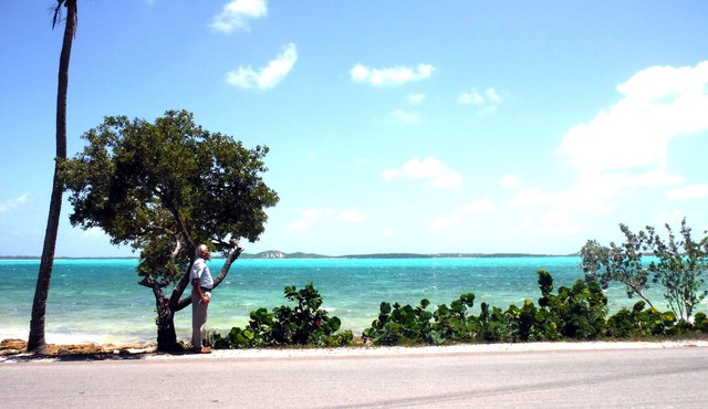 Plumbago - Paradise in the Bahamas with Ocean views