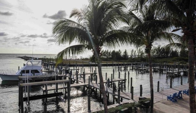 Premier Penthouse suite 3 bedroom condo in West End Bahamas Blue Marlin Cove