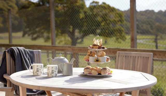 Prepare for a luxury experience with unrivalled views of Longleat's Safari Park.