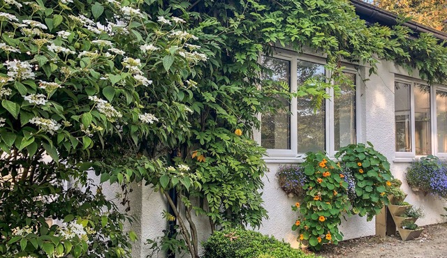 PRIMROSE END, pet friendly, country holiday cottage in Jacobstow