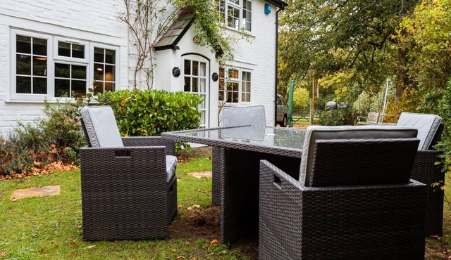 Rose Cottage in the heart of the New Forest, dogs welcome, EV point, sleeps 6