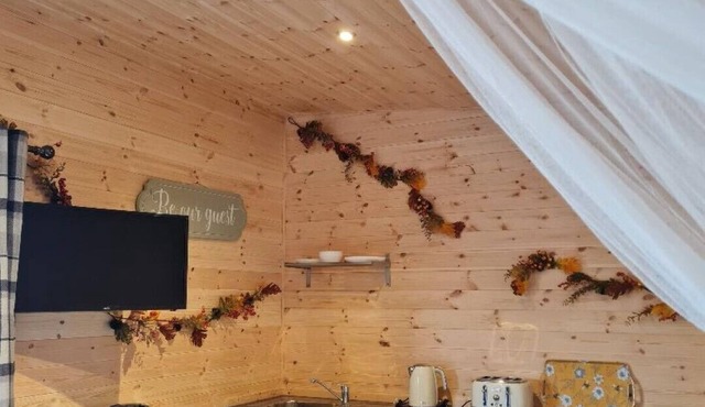 Rustic Cabin