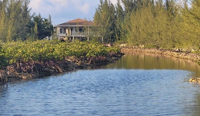 Secluded, private waterfront 4BR house in Bimini. Includes golf cart, kayak, and stunning views