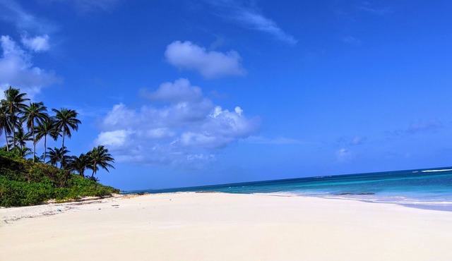Semi-private beach. Relaxing Getaway. Adults Only.