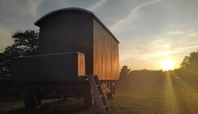Shepherd's Hut set in private meadow