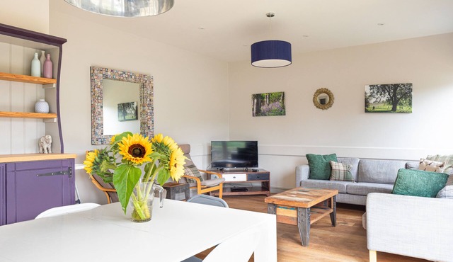 Sleeps 8 , Dogs Welcome, No smoking, Wood Burner, Wi-Fi, Courtyard Garden, Cot and Highchair, Off ro