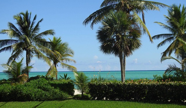 Spacious beachfront house, short drive to dining and shopping.