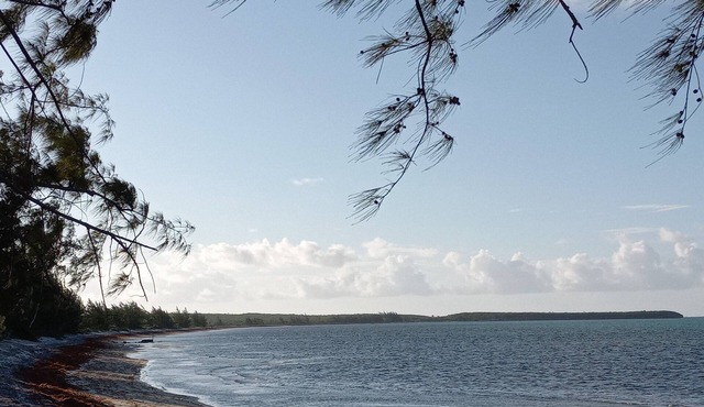 Spacious Island House on the beach - 5 mins from the airport