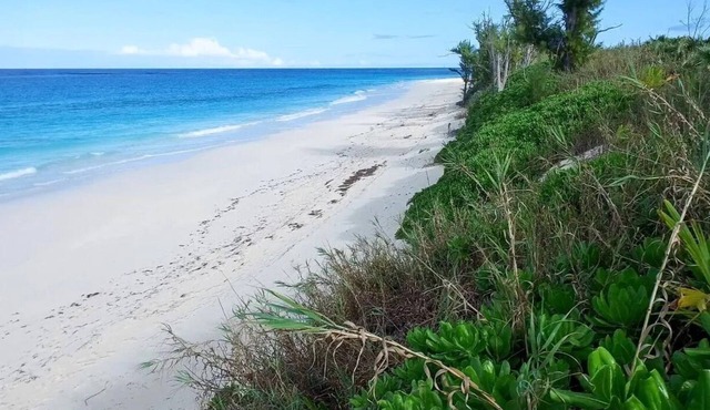Spectacular Direct Beachfront Condo awaits your arrival!