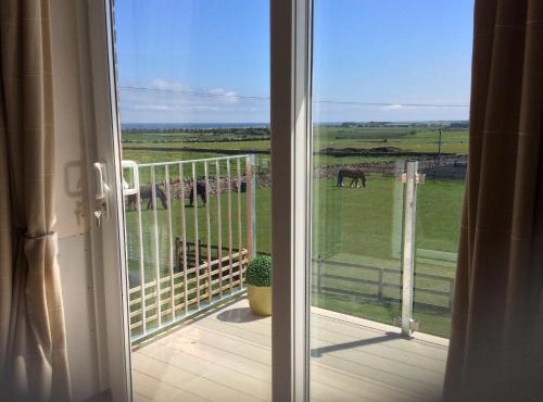 Springwood Room Only Accommodation