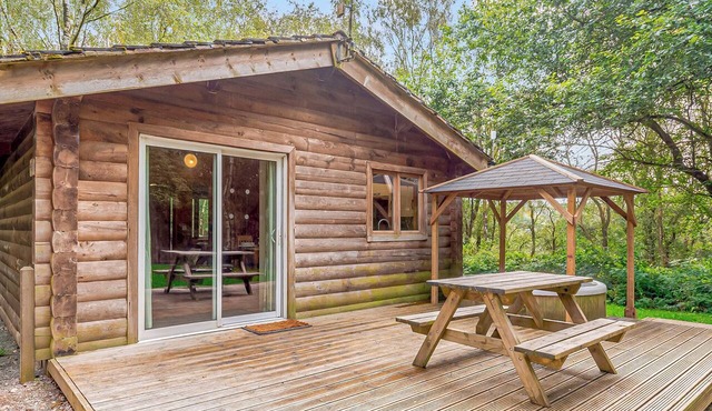 Squirrel Log Cabin 4