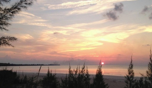 Sunny Daze, 1 bed 1 bath with beach access