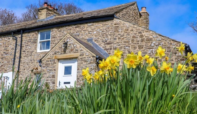 Swinhope View, Hexham