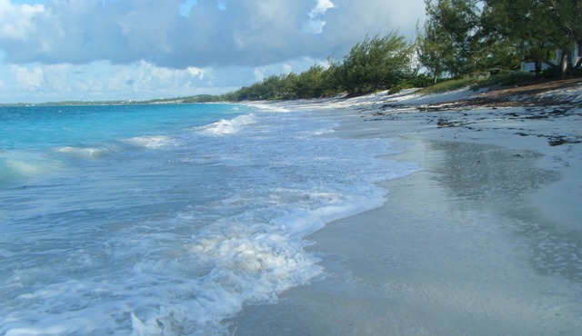 Tar Bay's Hidden Treasure! "The place to be"