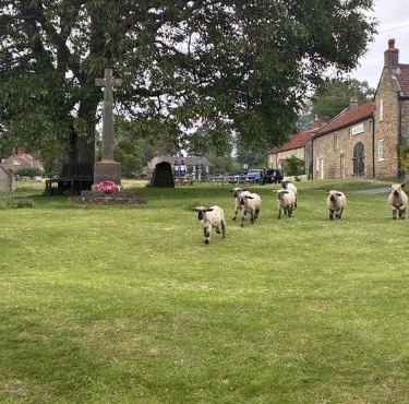 The Barn Guest House and Tearoom
