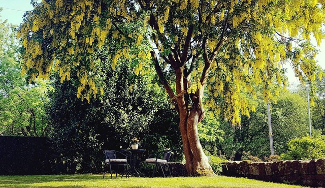 The Beehive Guest House
