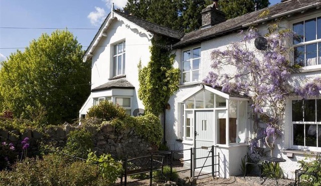 The Blithe Hare