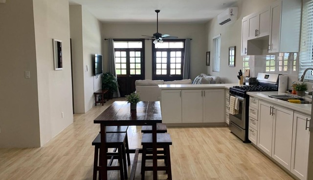 The Cedar Canalfront Penthouse