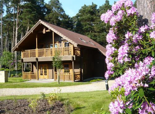 The Dorset Resort