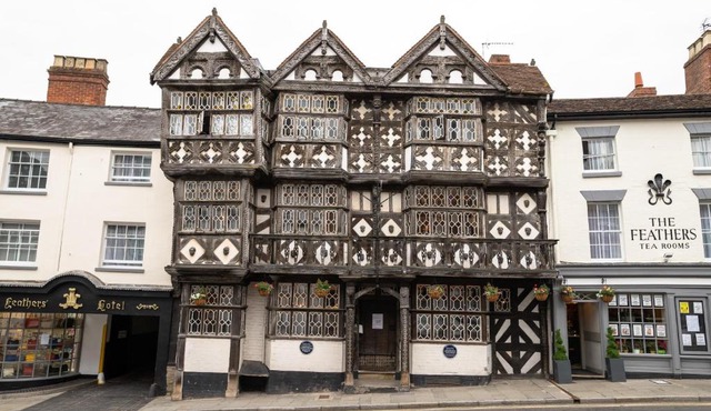 The Feathers Hotel