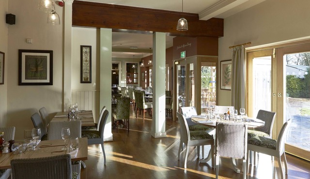 The Golden Pheasant