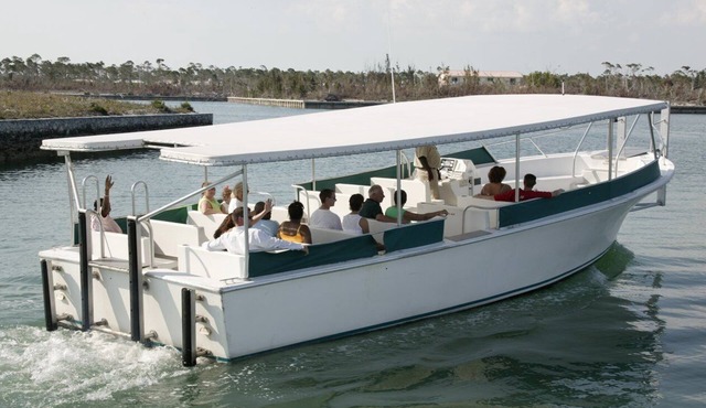 The Marlin at Taino Beach
