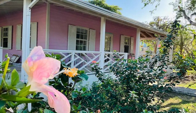 The Pink @ Hoopers Bay Beach
