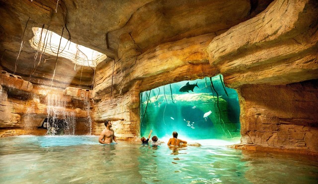 The Reef at Atlantis