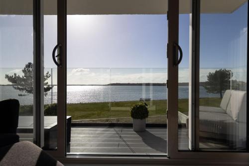 The View