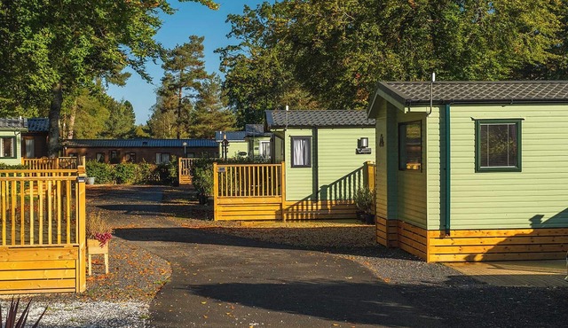 This comfortable caravan offers everything you need to enjoy your stay at Lowther Park. in Eamont Bridge