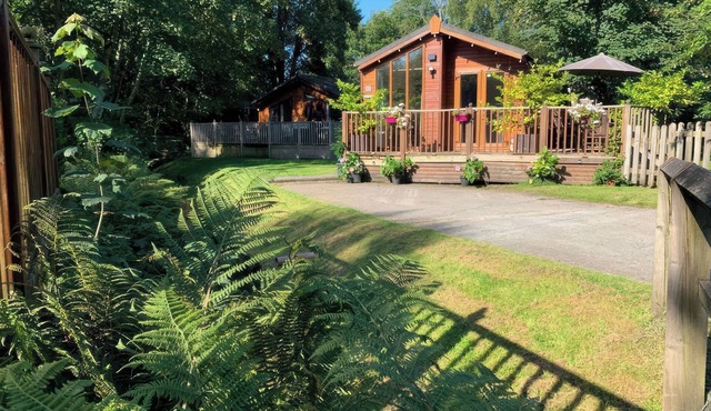 TIGGYWINKLE BECK - WHITE CROSS BAY, pet friendly in Windermere