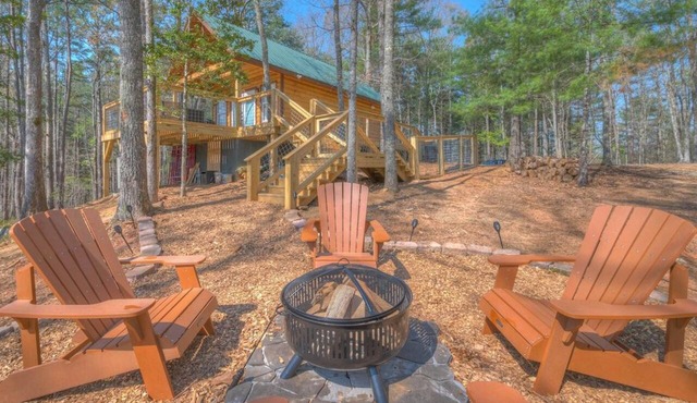 Tiny cabin - Big Amenities - King Bed - Secure Dog Yard in Murphy
