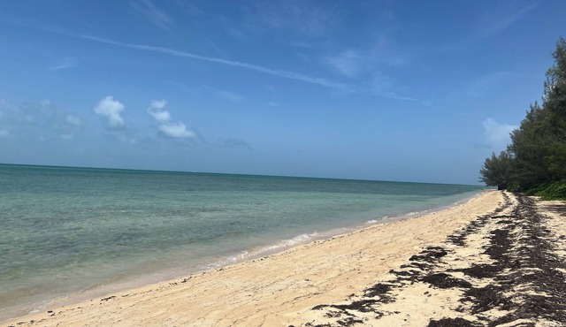 Tranquil Guest Suite in Coral Harbour (Near Albany & Airport)