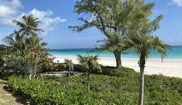 Treasured 2 Bedroom Condo