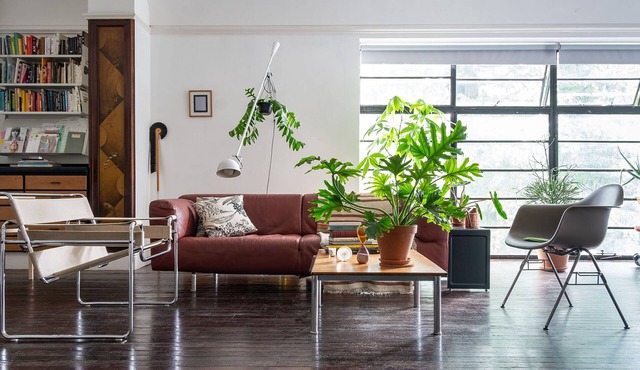 Unique Oasis in East London for Design Lovers