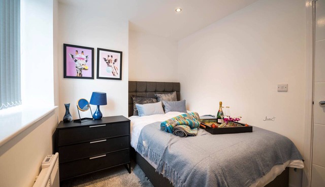 Windmill House Apt 4 - Comfortable - Clean - Stylish