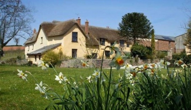 Yans Barn · Great Gutton Farm