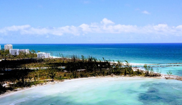 Your oceanfront row seat to a spectacular nature show!
