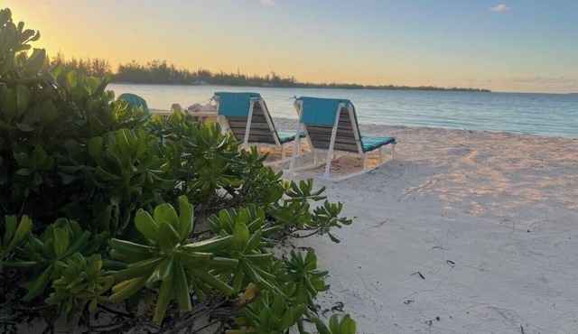 Your Tropical Beach Vacation!