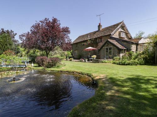 Court 