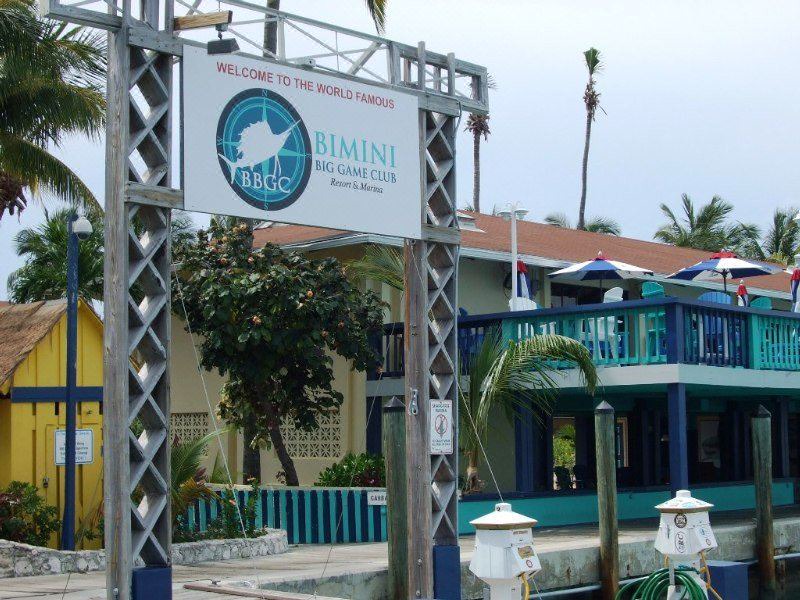 Photo of Buildings in Alice Town